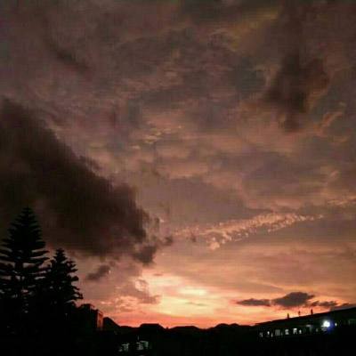 湖北房产网截图